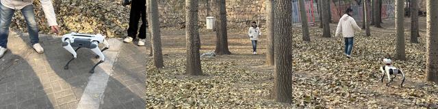 万元级消费机器狗走到家门口，真正的考验才刚开始