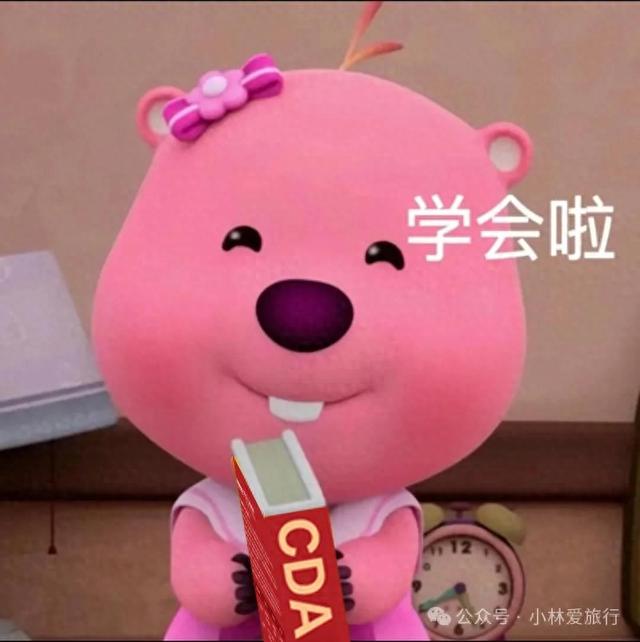 直播上镜优化(直播运营人员个人技能提升方向从新手到专家的进阶路径)