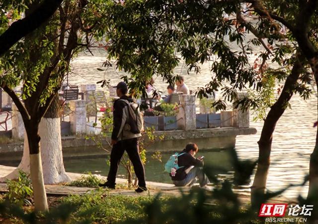 当冬日金光洒满年嘉湖，便是长沙最动人的模样