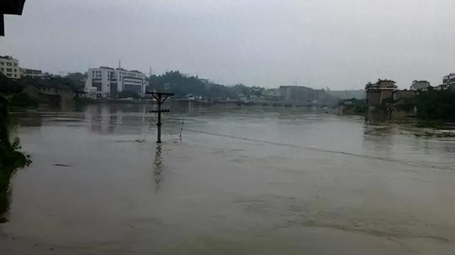 那些于苦寒处坚守的乡愁本真，恰似暗香浮动的老梅