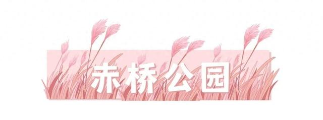 秋日“顶流”来啦！就藏在福州这些公园里