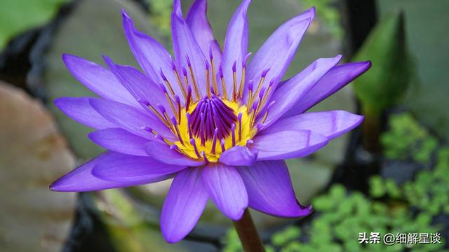 亥猪要“笑醒”了，12月12日后两天，你将会遇见你最大的3位贵人