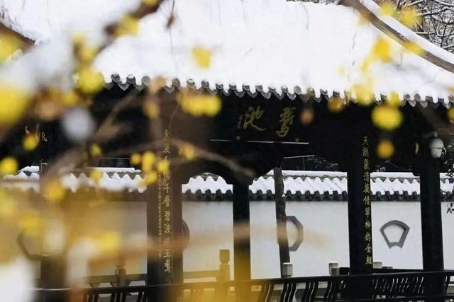 冬享沂蒙过大年：待明日，同访琅琊梅香