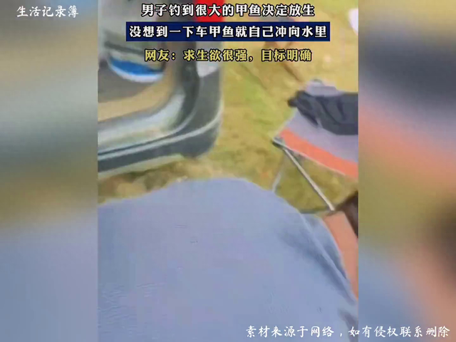 男子钓到很大的甲鱼决定放生，没想到一下车甲鱼就自己冲向水里