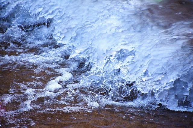 托里：蓝冰嵌枯枝 暖光缀星河