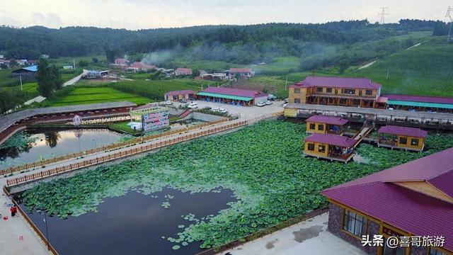 辽源“花海王国”：300亩芍药绽放，一年仅美20天，错过要等一年