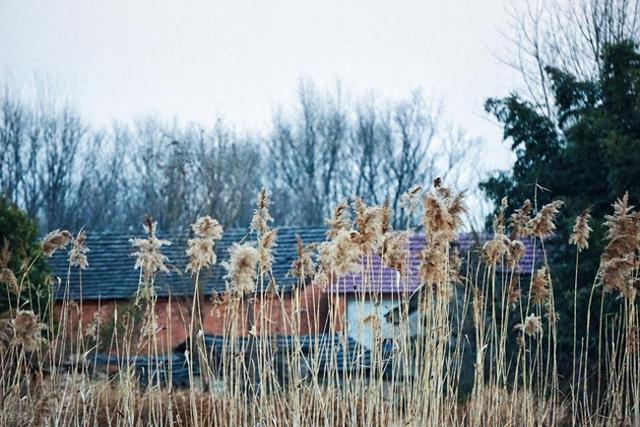 对家人不尊重、恶言相向，对外人却毕恭毕敬，实则暴露其性格软肋