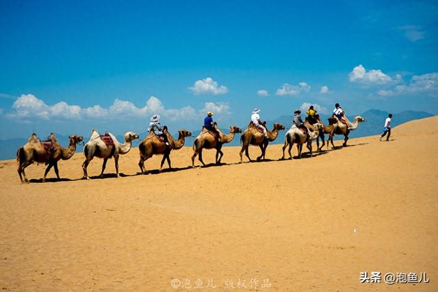 自驾宁夏意外发现：贺兰山变绿了！背后原因让人点赞