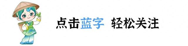 跟着赛事去旅行｜诗意秋浦，骑遇仙境