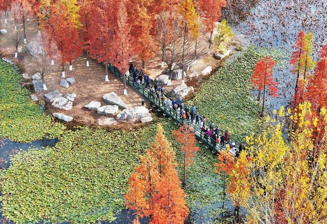 多彩初冬，美丽鱼鸟河