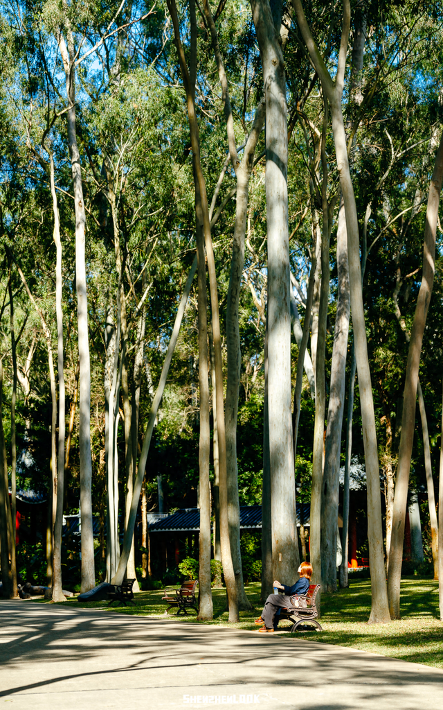 开在公园里的玻璃书房 · 深圳新安静空间