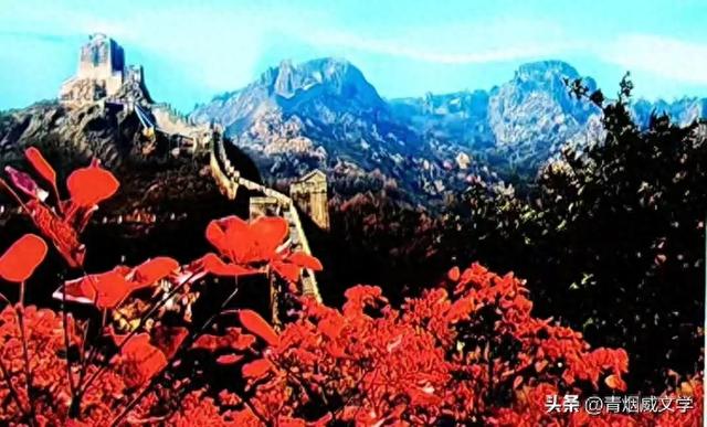 重阳登高赏长城秋色 重阳登高赏长城秋色