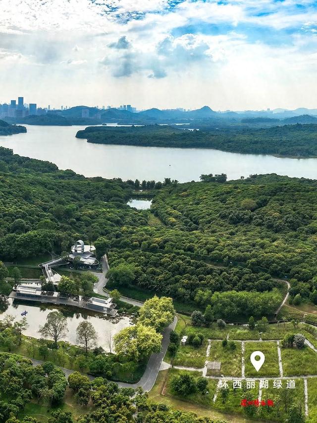 美丽深圳·每日一图｜2025年8月2日