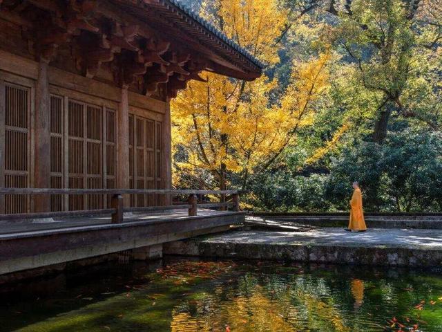 杭州灵隐寺9月起免票？灵隐寺：网传信息不实