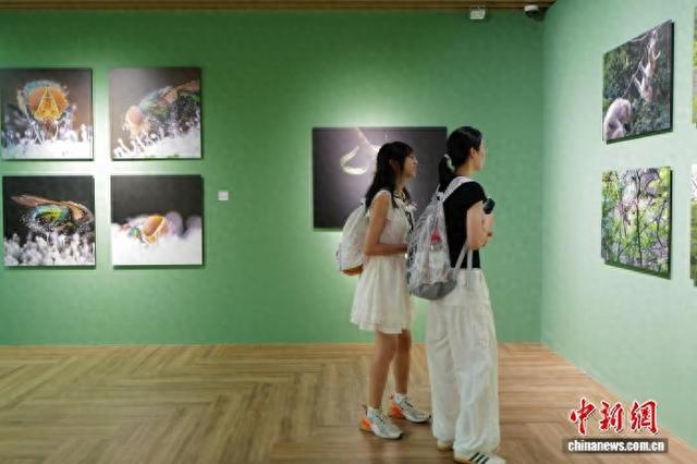 中国湿地博物馆夏日引游人 尽显人与自然之美