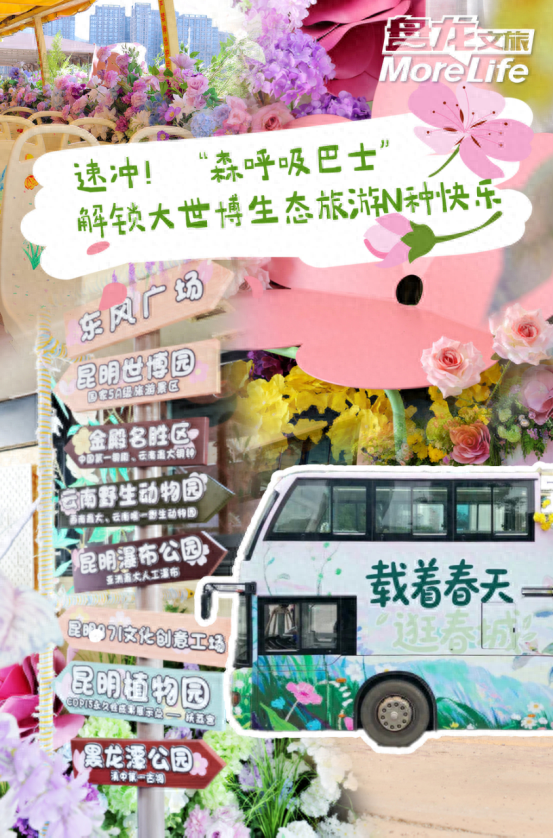 速冲！“森呼吸巴士”解锁大世博生态旅游N种快乐