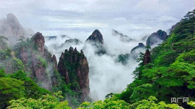 【媒体看黄山】央广网：高质量发展看中国〡避暑胜地“变身”亲子“云端课堂”