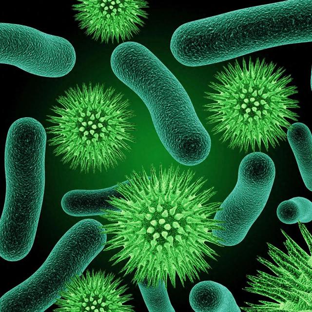 细菌进化史破解版（3900万人比癌症更致命的超级细菌危机我们的药还能撑多久）