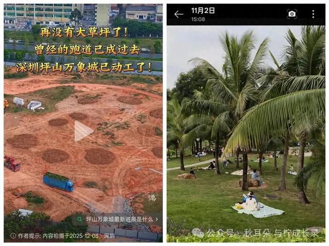 坪山,那片我们跑过的大草坪