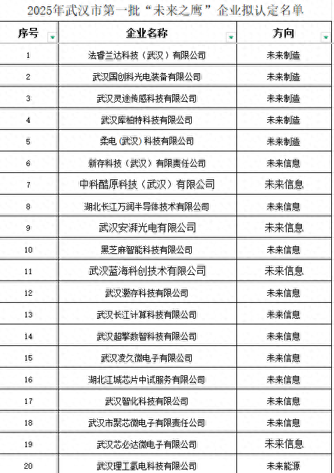 2025武汉市第一批“未来之鹰”企业拟认定名单公布