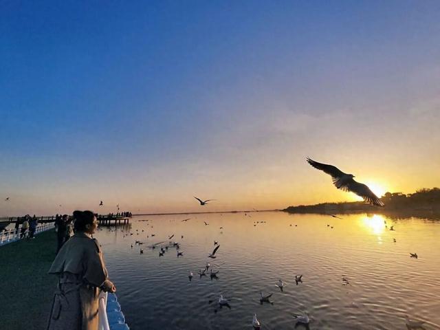 包头人自己的“洱海”~走！跟上鸥鸥上码头整点薯条去