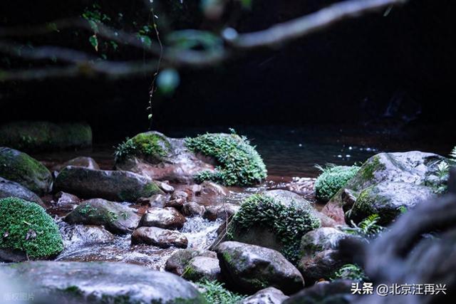 山高月小，水落石出，干枯的秋，到底美在何处