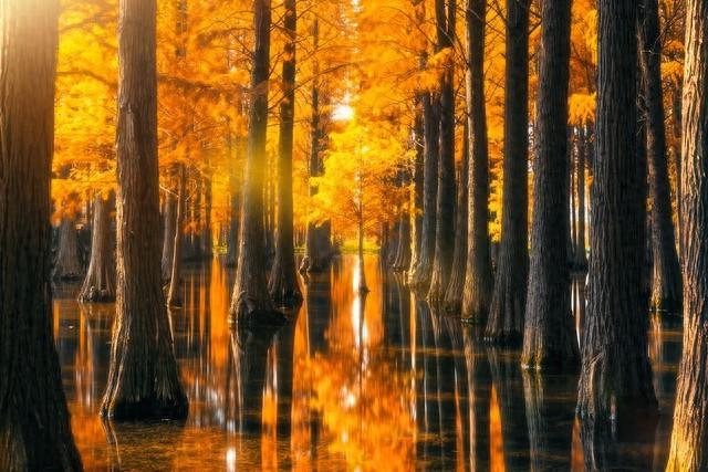 谁的生活不是一地鸡毛，请珍惜当下！