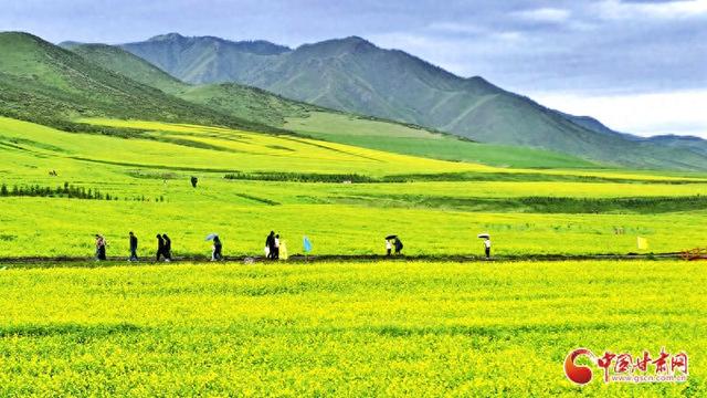 寻韵田园 共赏民乐｜民乐：文体旅交织绘就多彩画卷
