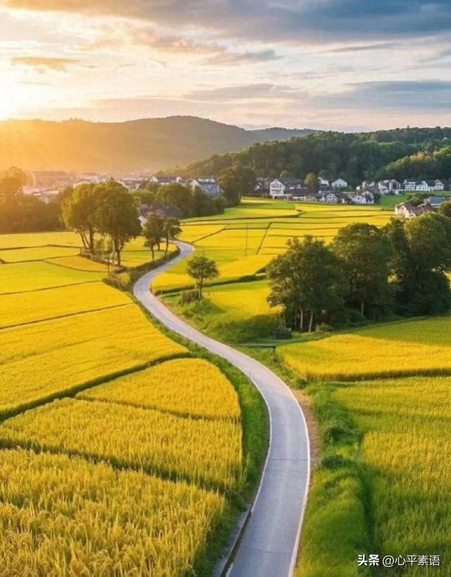 两性关系:55-65岁这十年,惜命的方式,不是锻炼,是做好这6点