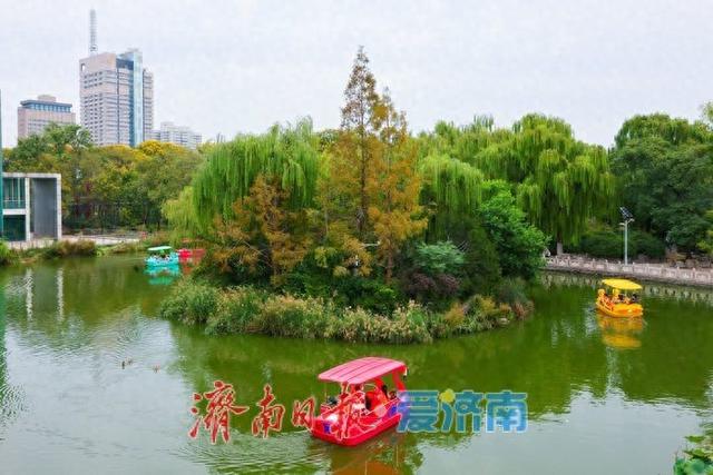 微风不燥秋意浓，泉城公园开启市民休闲露营模式
