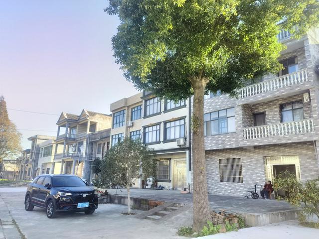 表弟严少军在乡村慢生活中的独特之处值得肯定和推广