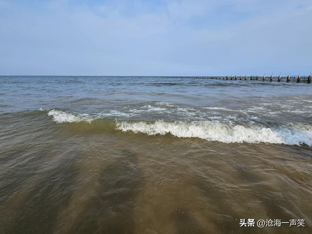 滨海森林公园，有海水相伴，有绿树成荫，有欢乐海洋，有积溪成浪