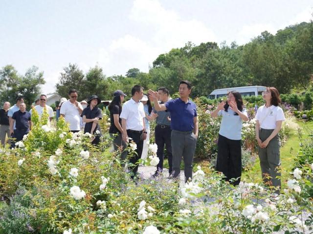 省文化和旅游厅、市文化和旅游局调研阳宗海国家级旅游度假区整改提升工作