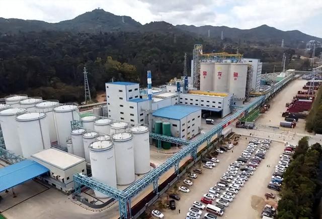 新加坡总理公开支持高市后，被罚18亿账单的金龙鱼	，凉得更快了