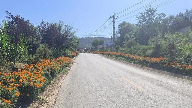 凤翔秋韵：花海铺就生态路 蝶变绘就宜居图