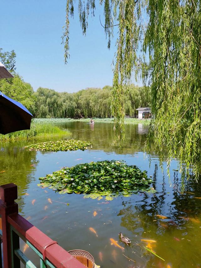 如果全国只能选一座城市旅游,最值得去的城市一定是北京市