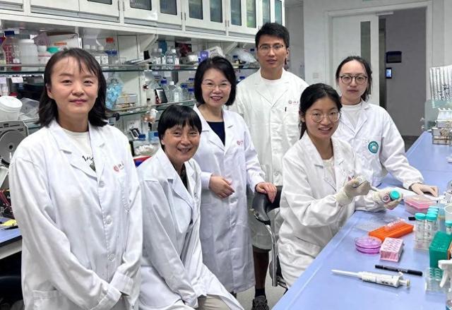 媒体北大·新华社 ｜ 中国科学家找到治疗子宫腺肌症新靶点新方法