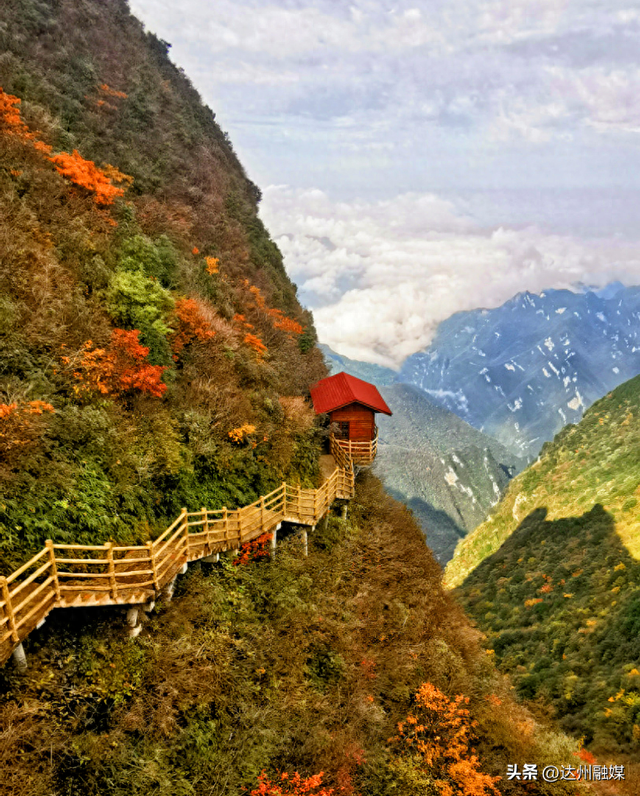 万源之秋：一场藏在山水间的诗意盛宴