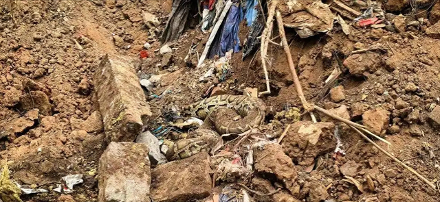 我嘞个乖乖，工地挖出"蛇中巨无霸"，惊现4米巨蟒！