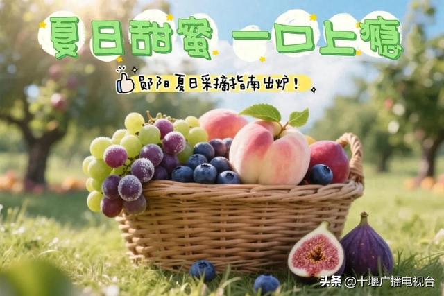 速看！郧阳夏日采摘指南出炉
