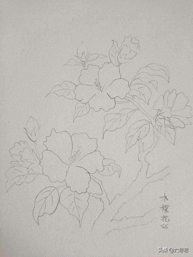 这花是来“诈骗”的吧！装成水蜜桃就算了，还偷偷开成了甜妹本妹