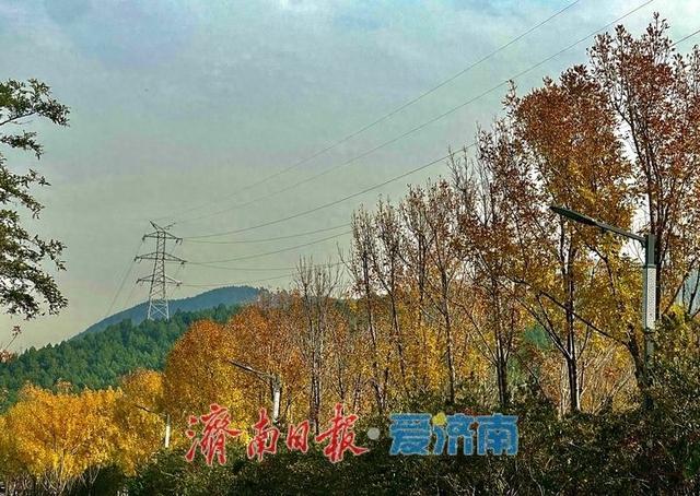 立冬前夕，佛慧山别样引客来