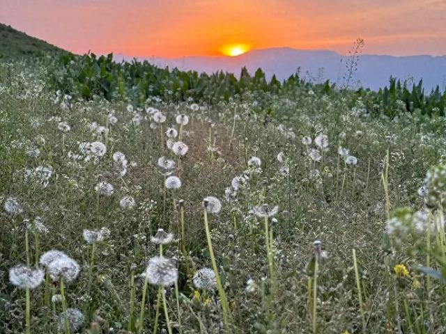 心驰那拉提 神往库尔德宁