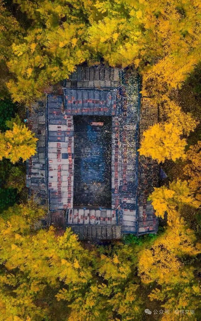 10月,再见;11月,你好!