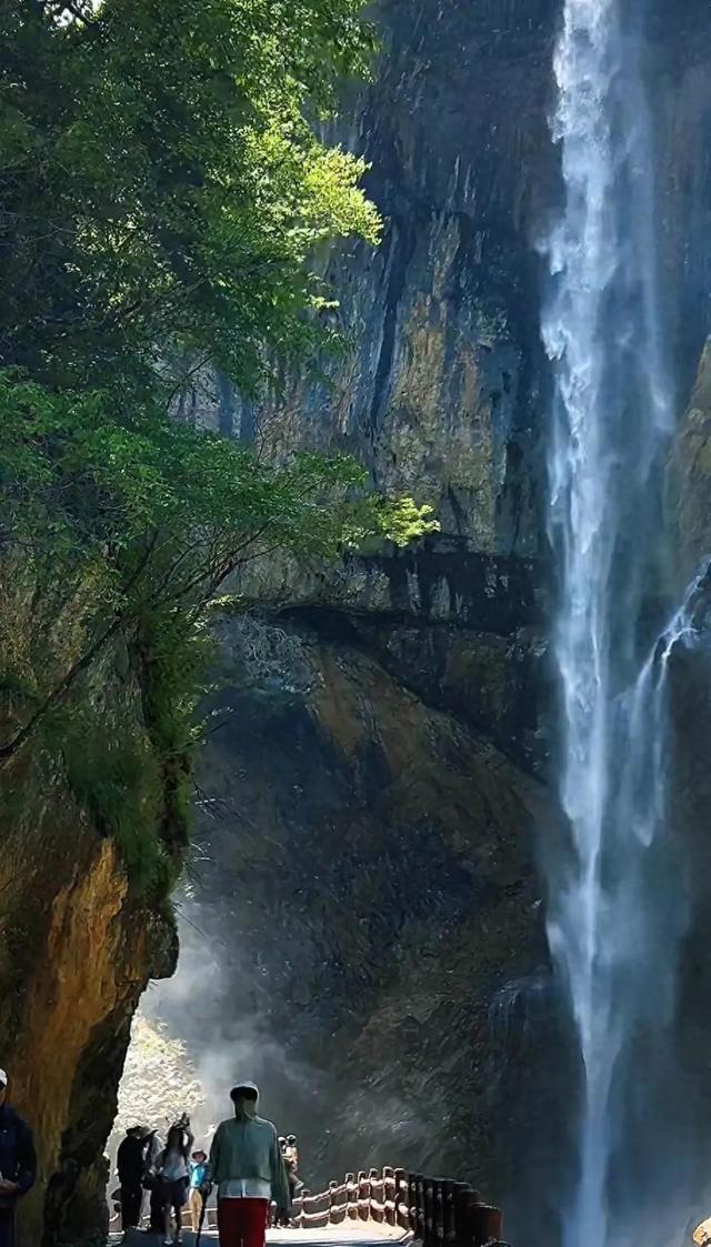 七月的官鹅沟在22℃的满目葱茏中，与焦虑和解~