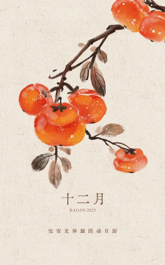 12月的宝安，怎么又有那么多好玩的？！