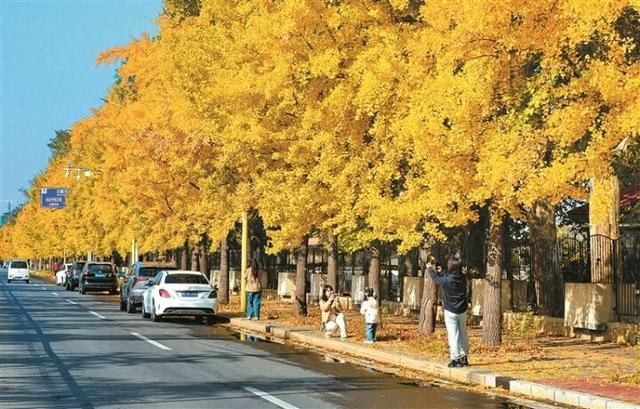 五彩斑斓绘深秋