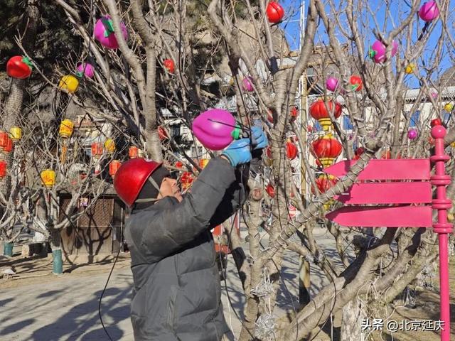 期待！延庆龙庆峡将亮起50万平方米花灯