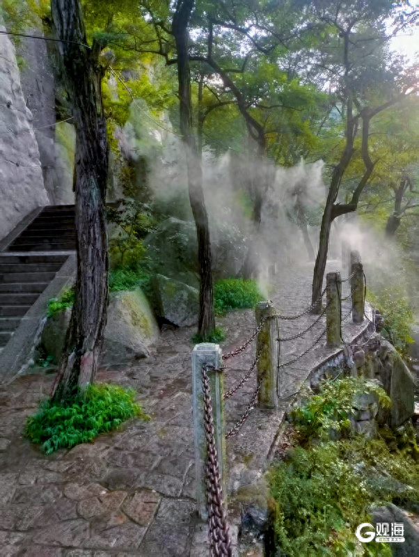 “雾”入森林深处！崂山风景区九水游览区启动“喷雾系统”
