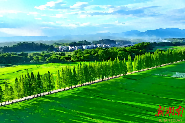 常宁市渔罗路：最美农村路的四季风华